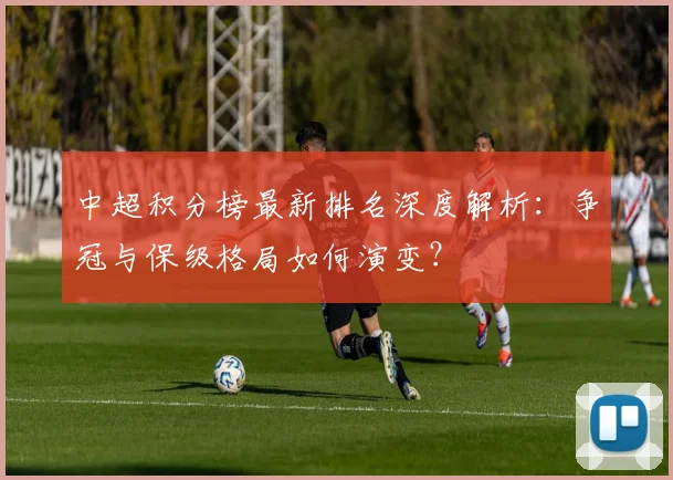 中超积分榜最新排名深度解析：争冠与保级格局如何演变？